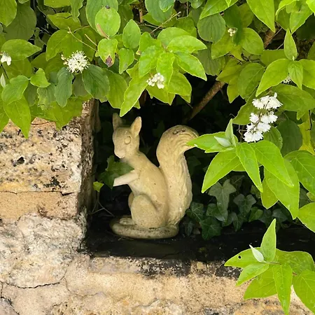 - Le Temps D'une Pause 度假居 Sauveterre (Tarn-et-Garonne)