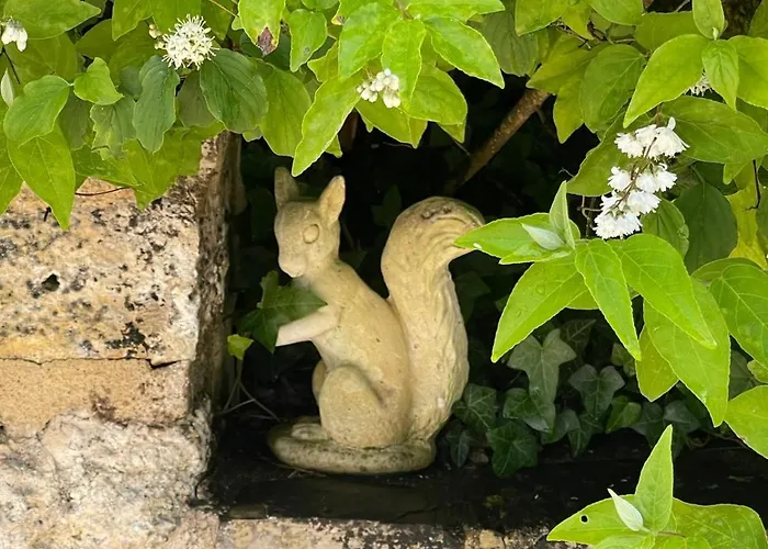 - Le Temps D'une Pause 度假居 Sauveterre (Tarn-et-Garonne)